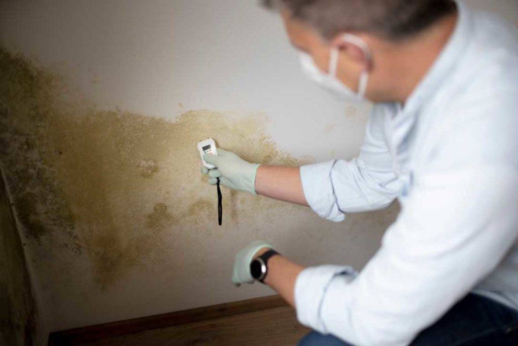 Man With Nose Mouth Protection Measures The Moisture Level On A Wall With Mildew